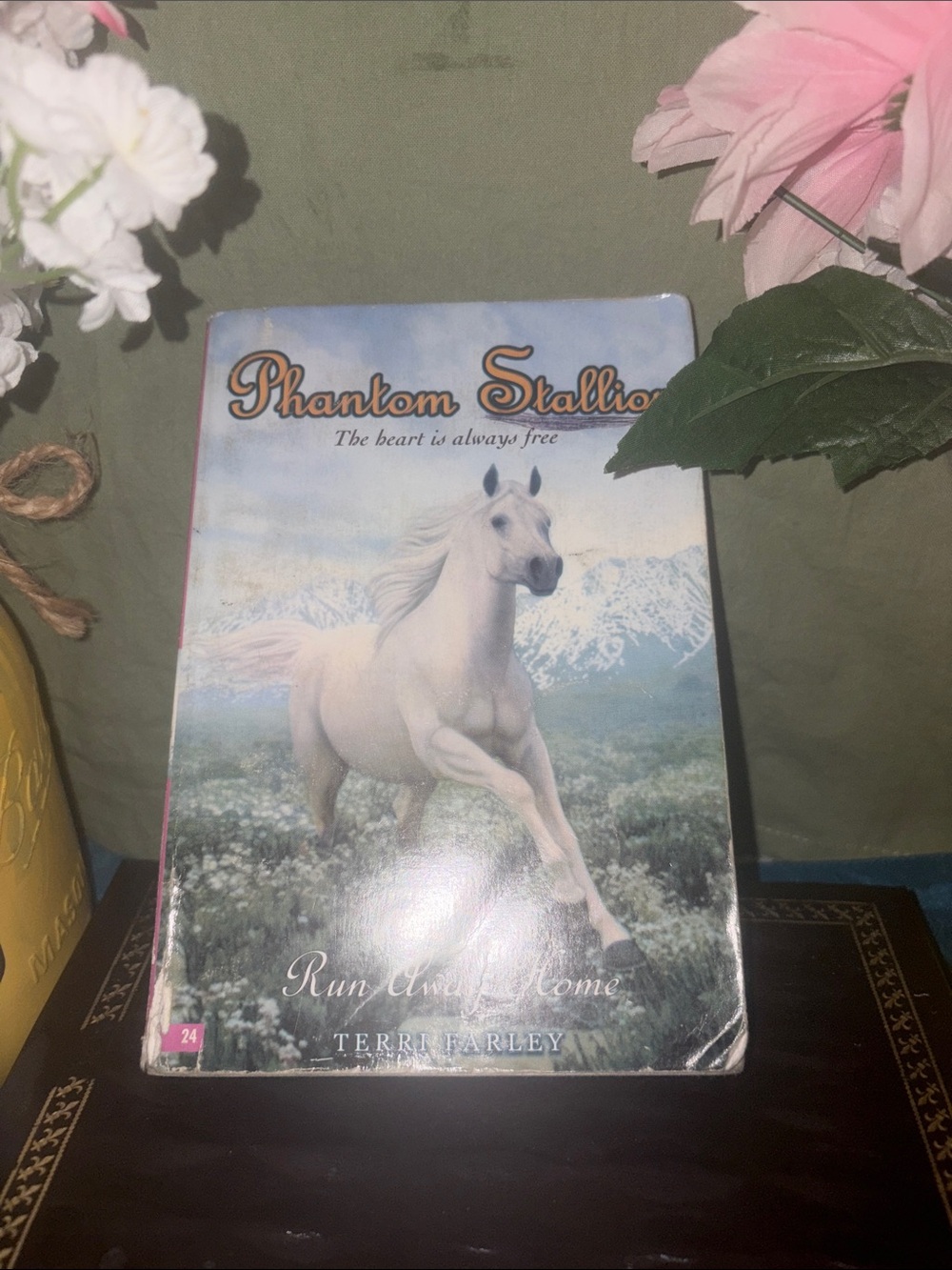 Phantom Stallion #24 Run Away Home - White Cover paperback